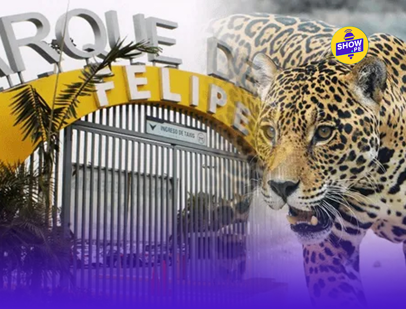 ¿Quiénes pueden acceder al beneficio?