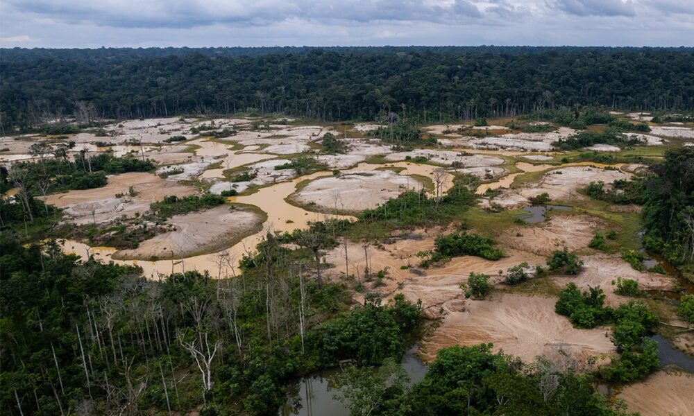 Minería ilegal y su influencia en la política peruana: 8 de cada 10 peruanos ven vínculos con corrupción