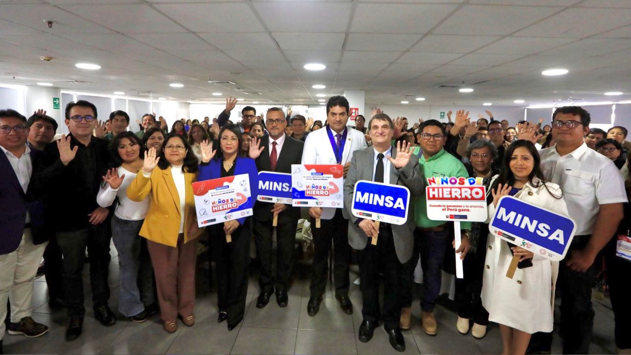 Minsa impulsa asistencia técnica sobre elaboración de planes multisectoriales regionales para reducir la anemia materno infantil