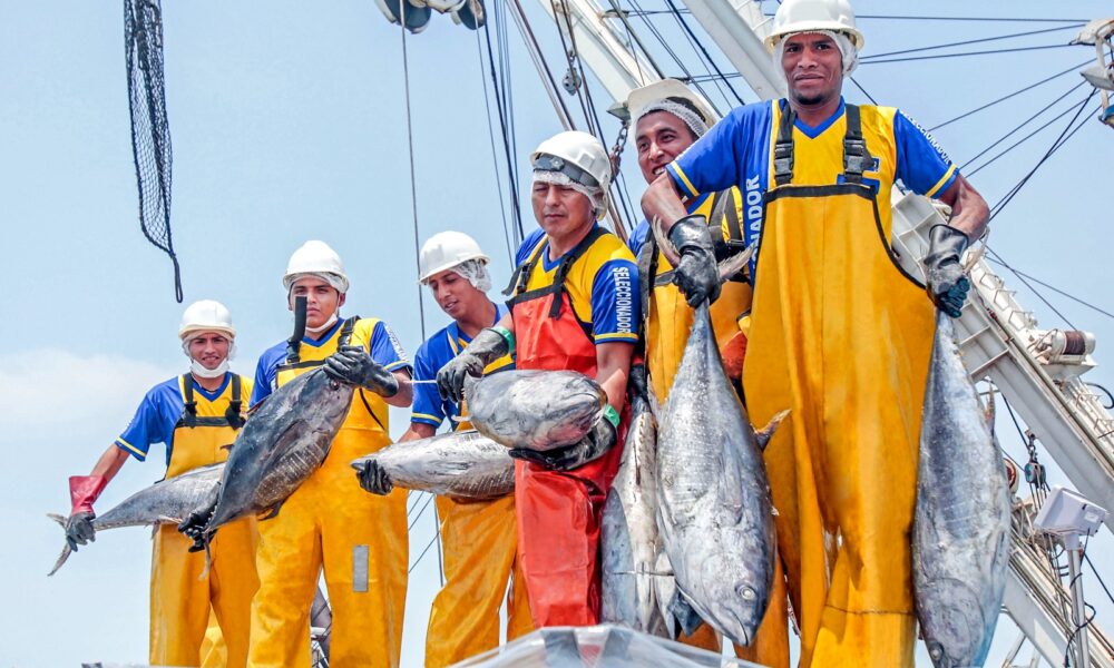 Desembarques de pesca de consumo humano directo crecieron 63.9 % en abril de 2025