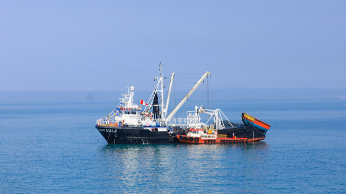 Adhieren a la recomendación de la OCDE para combatir la pesca ilegal