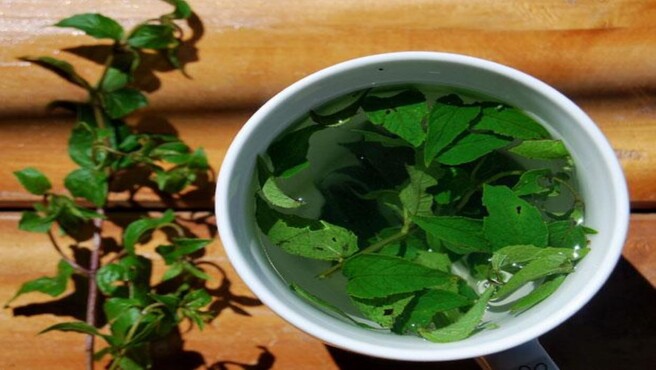 Combate el frío con infusiones: recomendación de expertos