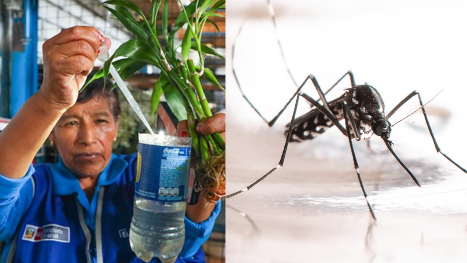 Ministerio de Salud se enfoca en campañas preventivas –