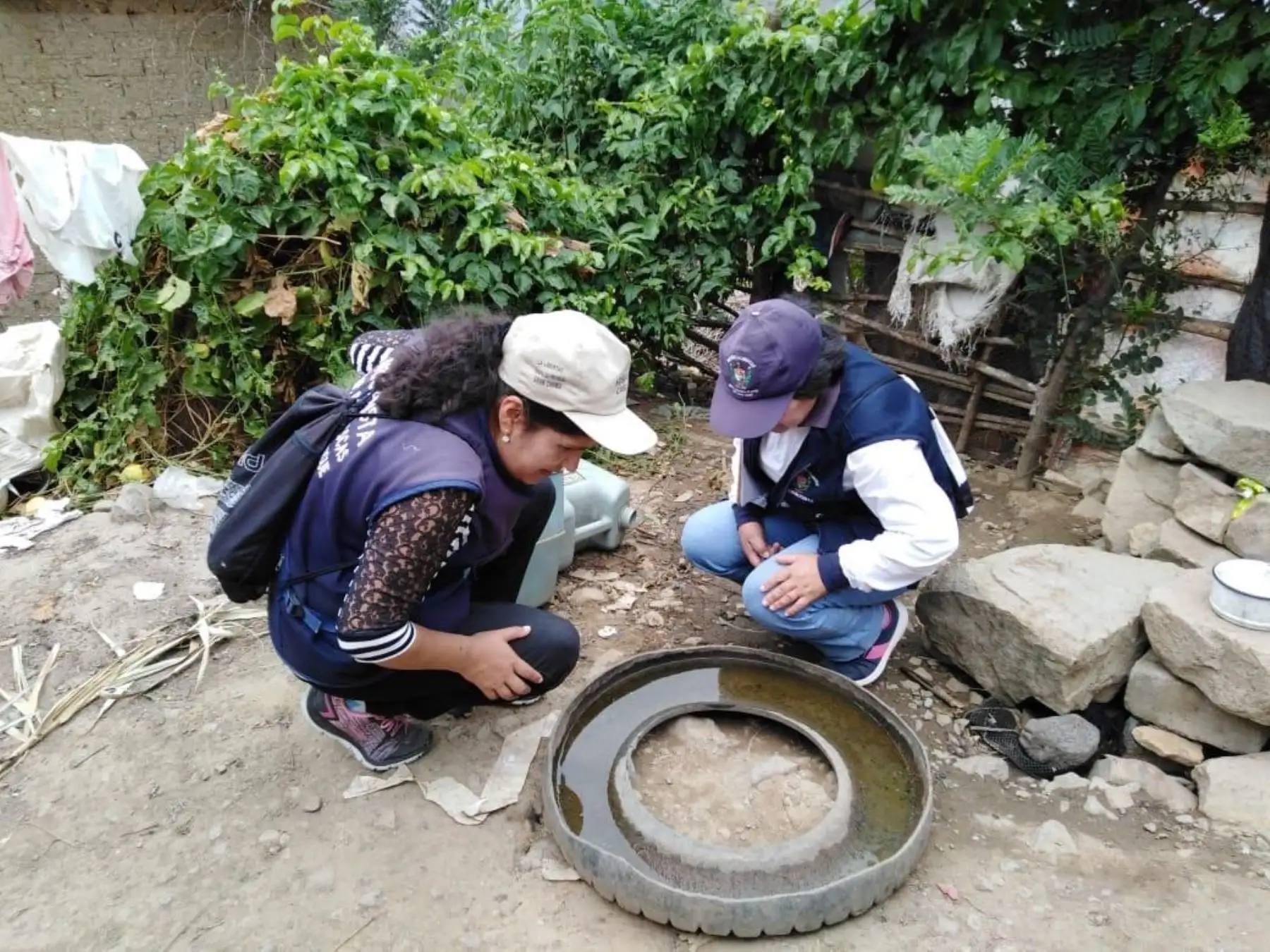 39 distritos de 83 bajo amenaza por presencia del mosquito –