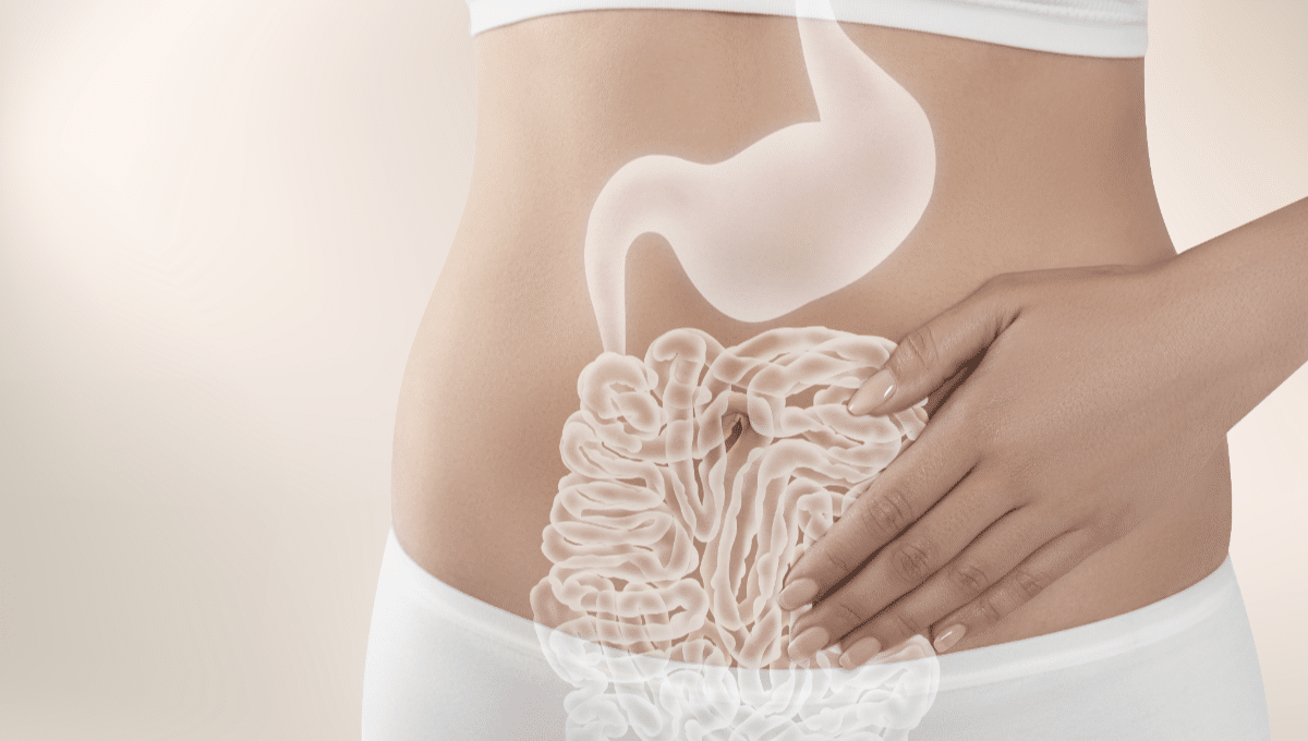 Cinco frutas que fortalecen tu microbiota intestinal –